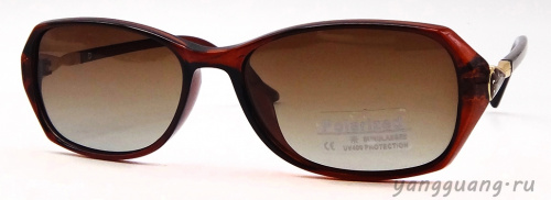 Polarized 6073 C2