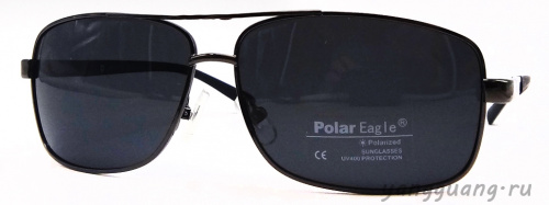 Polar Eagle 0357 C3