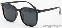 Polarized TR-90 6051 C3