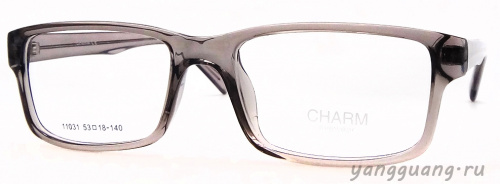 CHARM 11031 C3 53-18-140