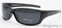 Polar Eagle 8242 C1