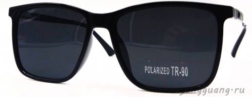 Polarized TR-90 3066 C1