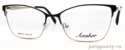 AMSHAR 9151 C6 55-16-140