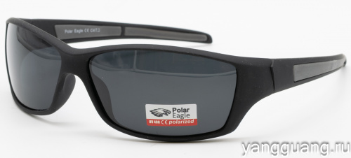 Polar Eagle 8242 C3
