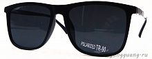 Polarized TR-90 3065 C3