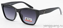 Polar Eagle 09497 C1