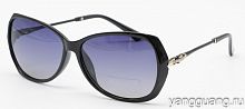Polarized 8272 C1