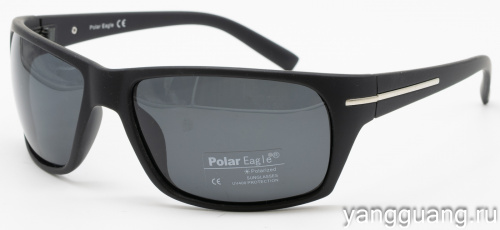 Polar Eagle 8221 C3