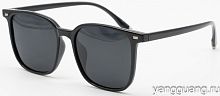 Polarized TR-90 6051 C1