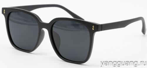 Polarized TR-90 6042 C3