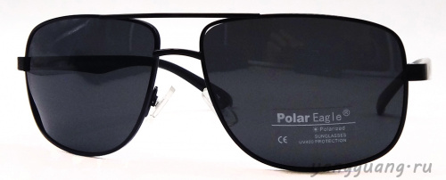 Polar Eagle 0341 C1