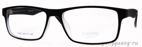 CHARM 11027 C2 56-17-145