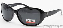 Polar Eagle 09555 C1