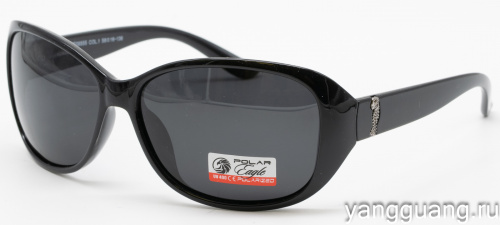 Polar Eagle 09555 C1