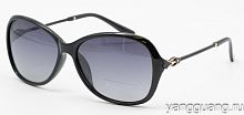 Polarized 8281 C1