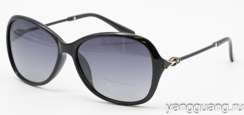 Polarized 8281 C1