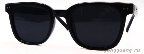 Polarized TR-90 6047 C1