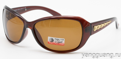 Polar Eagle 09547 C2