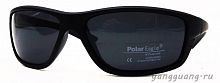 Polar Eagle 8209 C3