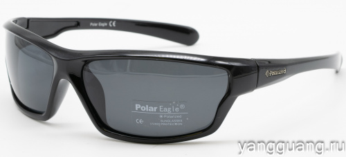 Polar Eagle 8207 C1