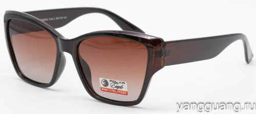 Polar Eagle 09504 C2