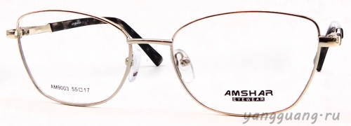 AMSHAR 9003 C2 55-17-140