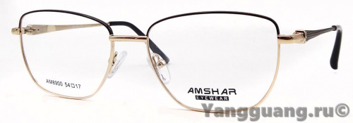 AMSHAR 8900 C4 54-17-140