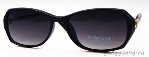 Polarized 8270 C1