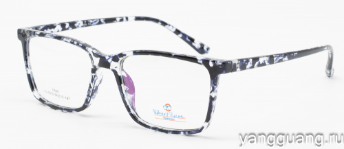 ViBrant Vision 0010 C17 54-19-147