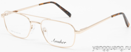 AMSHAR 9138 C1 54-18-145