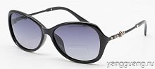 Polarized 8258 C1