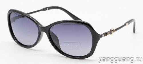Polarized 8258 C1