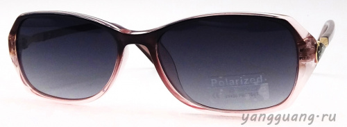 Polarized 6073 C3