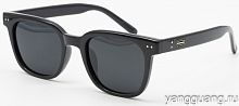 Polarized TR-90 6047 C1