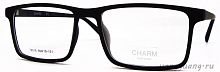CHARM 78016 C1 59-19-151