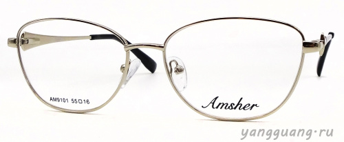 AMSHAR 9101 C6 55-16-140