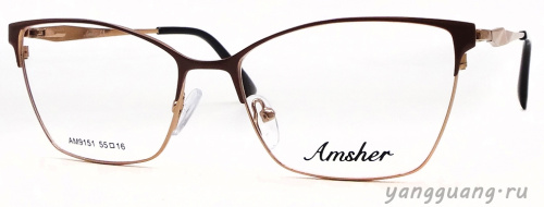 AMSHAR 9151 C4 55-16-140