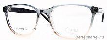 CHARM 679 C7 54-18-142