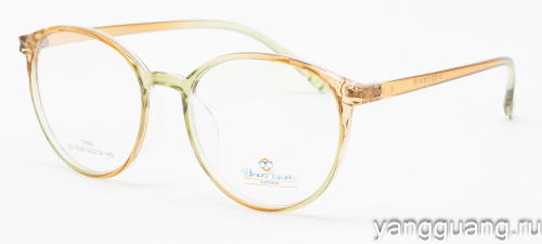 ViBrant Vision 0022 C3 52-18-145