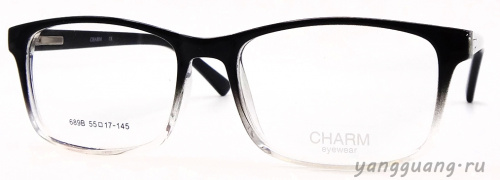 CHARM 689B C2 55-17-145