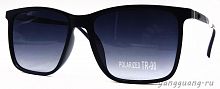 Polarized TR-90 3066 C3