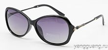 Polarized 8259 C1