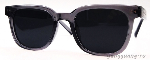 Polarized TR-90 6047 C4