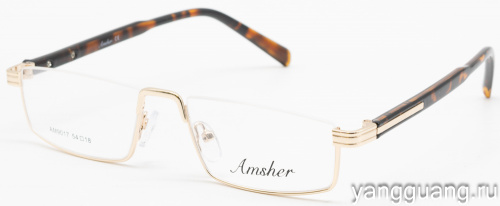 AMSHAR 9017 C1 54-18-145