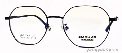 AMSHAR 2858 C1 50-19-143