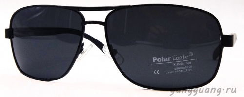 Polar Eagle 0403 C1