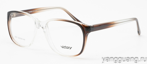 Victory 6601 C19 54-18-140
