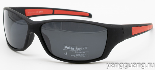Polar Eagle 8242 C4