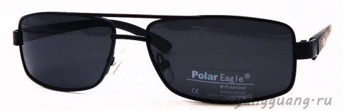 Polar Eagle 0351 C4