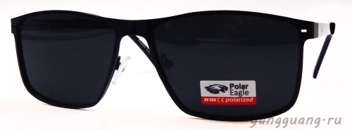 Polar Eagle 8635 C1